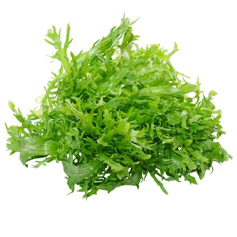 Endive Seeds - Salad King - 2 g Packet ~200 Seeds - Cichorium endivia - Farm & Garden Vegetable ...