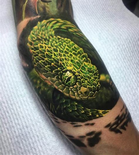 14+ Viperid Snake Tattoo Designs and Ideas | PetPress