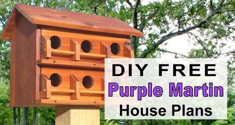 Purple Martin House Plans (Free Printable DIY Directions) – DIY ...