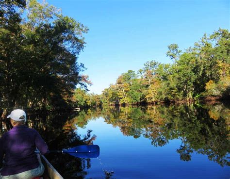 Florida kayaking trail: Withlacoochee River is one of the prettiest | Florida Rambler