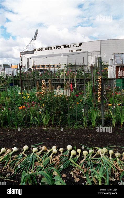 DUNDEE UNITED STADIUM DUNDEE UNITED FC 15 August 1999 Stock Photo - Alamy