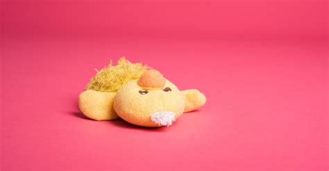 Yellow Duck Plush Toy · Free Stock Photo