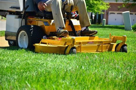 4 Steps to a Perfectly Manicured Lawn | Miller Lawn Maintenance