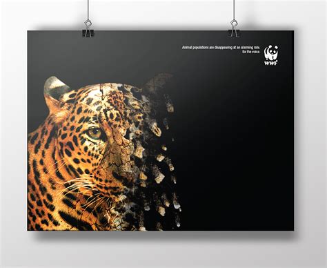 En Avant Designs - Jorden Campbell, Graphic Designer | World Wildlife Fund