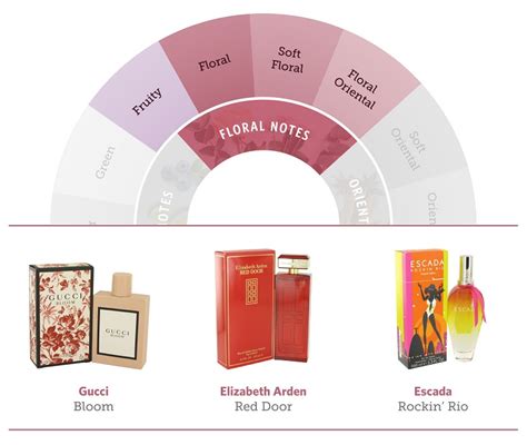 Your Fragrance Wheel and Scent Families Guide | FragranceX.com