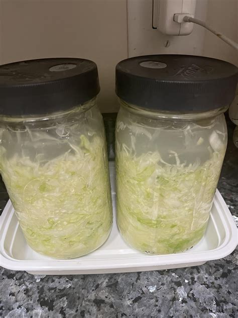 First time doing sauerkraut : r/fermentation