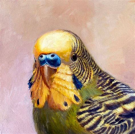 Green Parakeet Portrait | Parakeet art, Bird art, Animal art