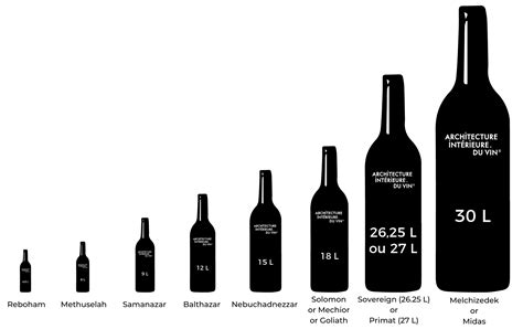 A Complete Guide to Different Wine Bottle Sizes