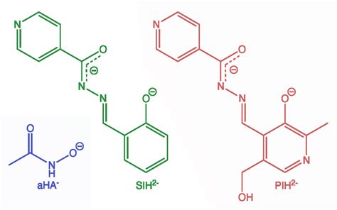 Siderophores Unlock Fossils :: ChemViews Magazine :: ChemistryViews