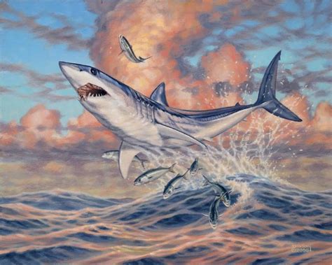 mako shark bluefish art Don Ray marine fishing artist | Shark painting ...