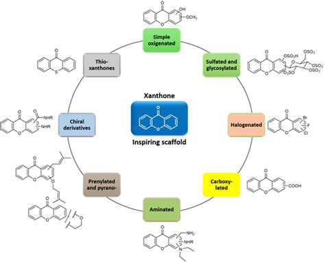 Xanthones | Encyclopedia MDPI