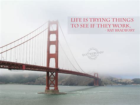 Funny Bridge Quotes. QuotesGram