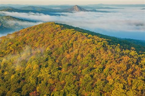 Ouachita National Forest