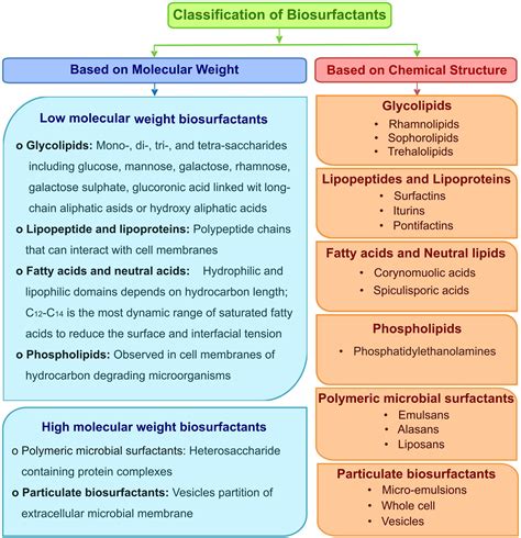 Frontiers | Microbial surfactants: A journey from fundamentals to ...