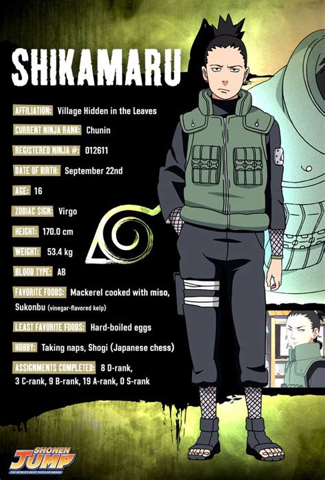 Shikamaru Nara (奈良シカマル, Nara Shikamaru) is a member of Konohagakure's ...