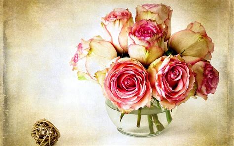 🔥 [40+] Victorian Rose Wallpapers | WallpaperSafari