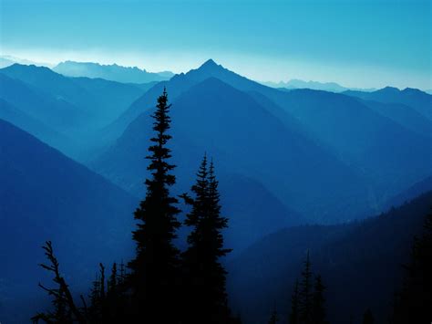 Alpine Lookout. Central Cascades -- Stevens Pass. Roundtrip 10 miles, Elevation Gain 2600 ft ...