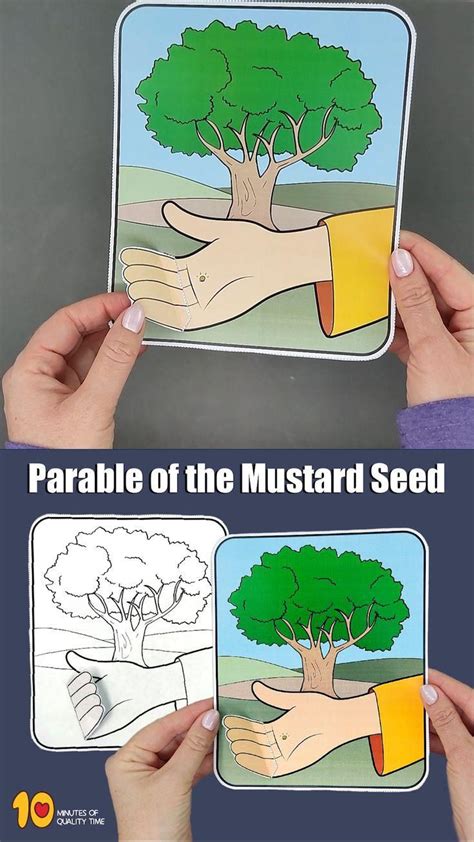 The Parable of the Mustard Seed Craft [Video] [Video] in 2024 | Sunday ...