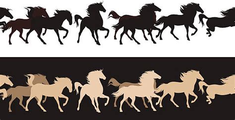 Silhouette Of The Herd Of Horses Running Illustrations, Royalty-Free Vector Graphics & Clip Art ...