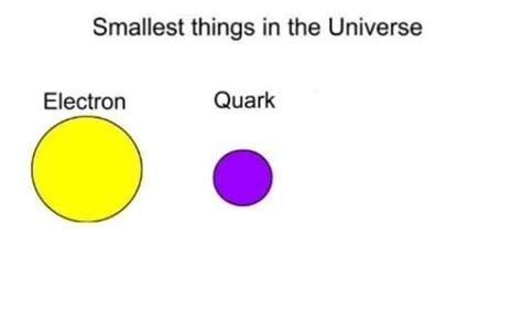 Smallest things in the universe Meme Generator