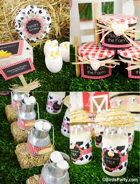 My Kids' Joint Barnyard Farm Birthday Party - Party Ideas | Party Printables Blog