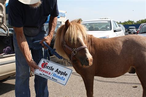 LITTLE APPLE TOYOTA - 16 Reviews - 2828 Amherst Ave, Manhattan, KS - Yelp