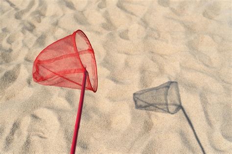 Premium Photo | Summer fun for kids. entertainment on a sandy beach by the sea. red butterfly ...