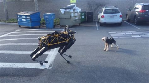 This Real Dog Going Nuts At Google’s Robot Dog Tells You Everything You ...