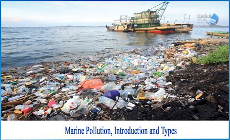 What is marine pollution and its types - Netsol Water