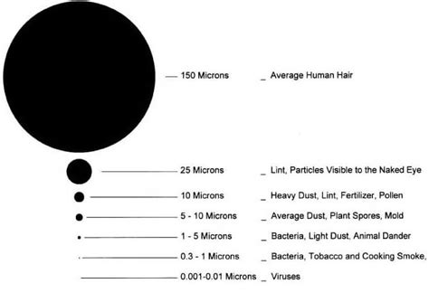 What Is a Micron and Why Micron Size Matters for Water Filters? - Pick ...