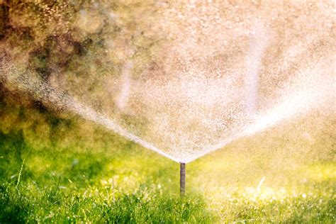 What Are The Advantages Of A Sprinkler Irrigation System? - Turf Rain