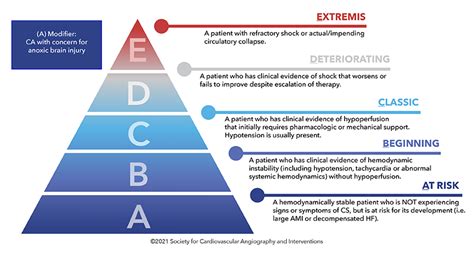 SCAI SHOCK Stages Classification Expert Consensus Update: A Review and ...