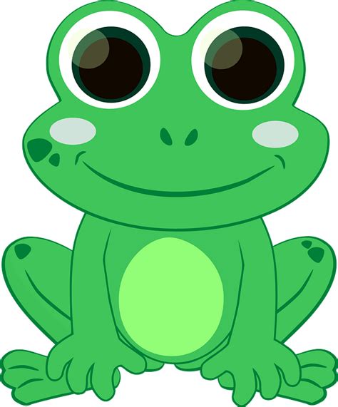 Cartoon Frog PNG Photos - PNG Mart