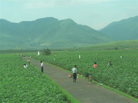 Kaesong