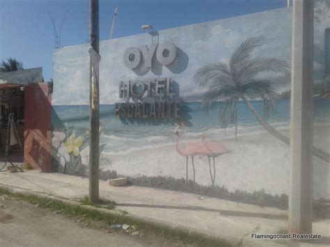 Hotel Escalante – Flamingo Coast Real Estate