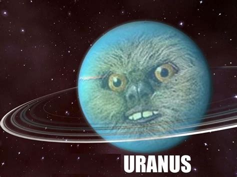 25 Best Memes About Inside Uranus Inside Uranus Memes