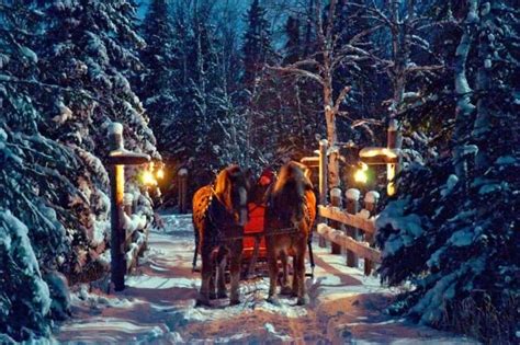 Sleigh ride brings on the magic | Sleigh ride, Winter landscape, Sleigh