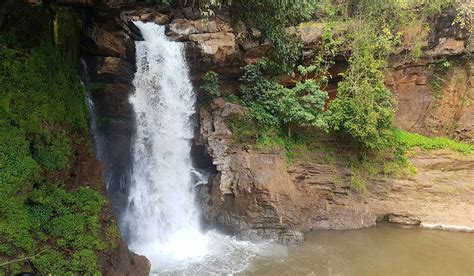 Harvalem Waterfalls Goa, Information, Timings, Things to do