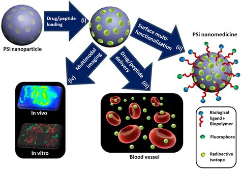 Drug delivery with nanostructured porous silicon nanoparticles | SPIE Homepage: SPIE