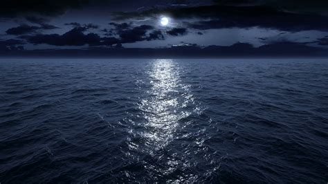 Ocean Night