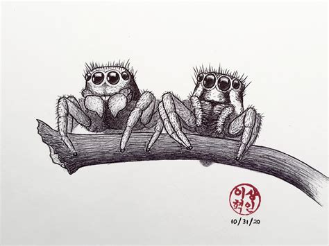 Drew a jumping spider couple w/ ballpoint pen | Dieren tekenen, Tekenen, Dieren