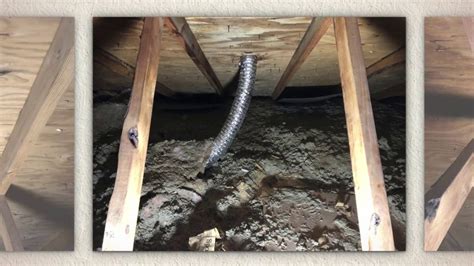 ATTIC MOLD REMOVAL - YouTube