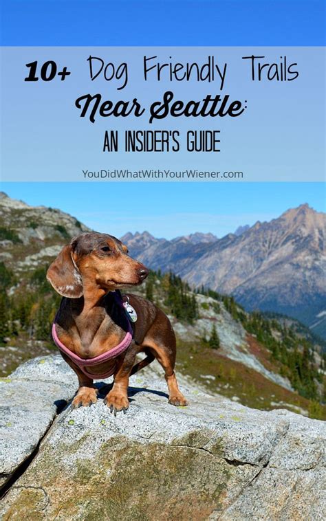 The number of amazing dog friendly hiking trails in the area makes Seattle one of the best ...