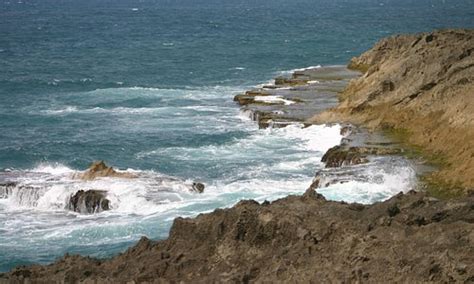 Arecibo, Puerto Rico 2023: Best Places to Visit - Tripadvisor