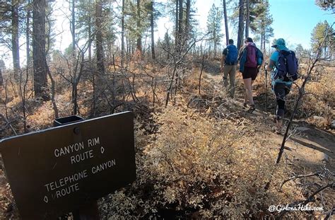 Hiking the West Rim Trail, Zion National Park - Girl on a Hike