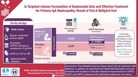 NefIgArd trial : Visual Abstract — NephJC