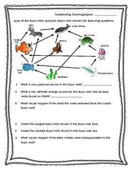 Food Chain And Food Web Worksheet Doc | Printable Math Sheets For Kids