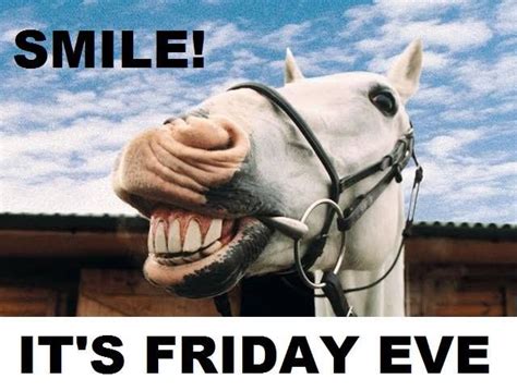 happy friday eve animal meme