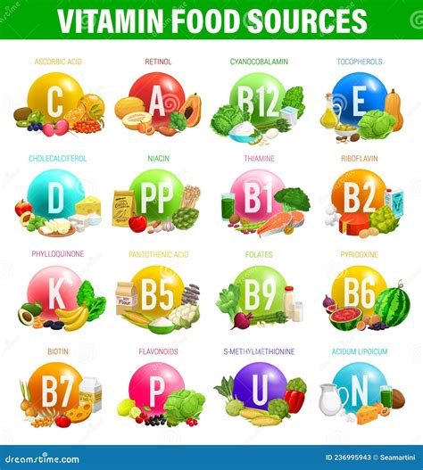 Vitamins and Minerals Food Sources in Nutrition Stock Vector - Illustration of wellbeing ...