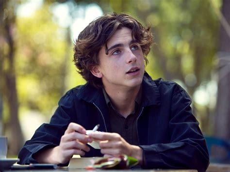 In Lady Bird, Timothée Chalamet is not your typical dirtbag boyfriend